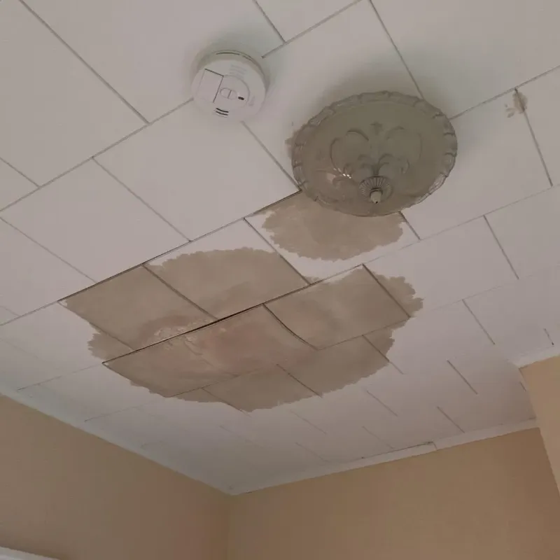 Ceiling Water Damage Repair in Noble County, OK