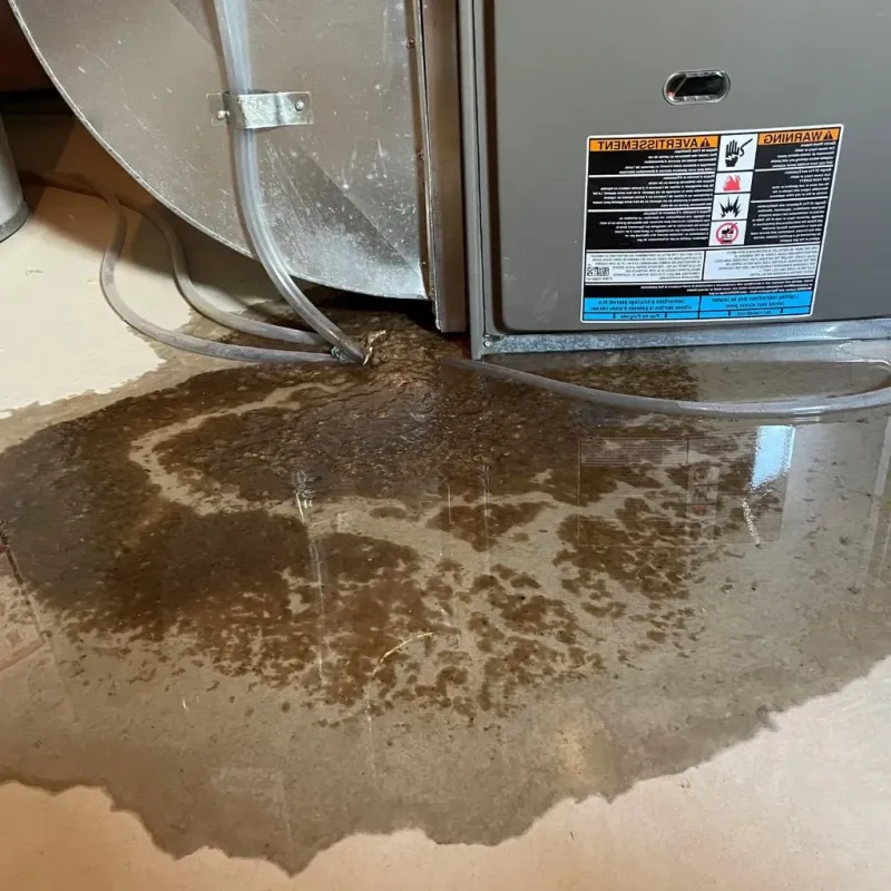 Pipe Burst and Leak Restoration in Noble County, OK